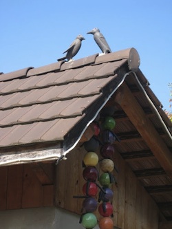 Dach mit Raben aus Keramik